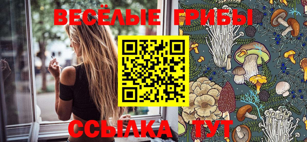 Псилоцибиновые грибы прущие грибы Зерноград